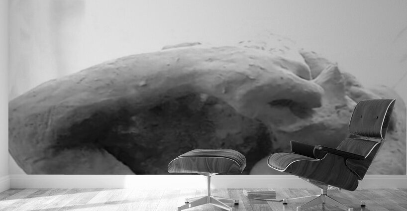 Beloved Companion 2 - 1 Wall Murals