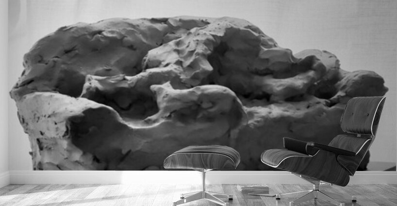 Quiet Mood --- 20251029 075144 2 Wall Murals