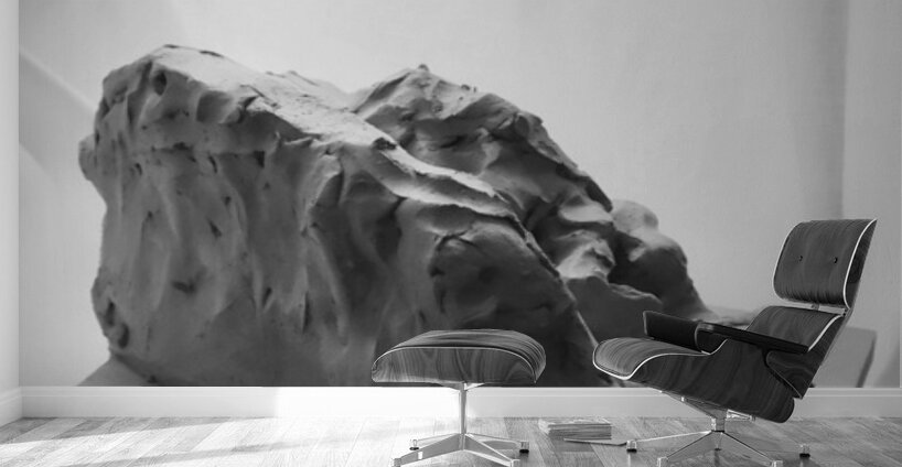 Quiet Mood --- image Wall Murals