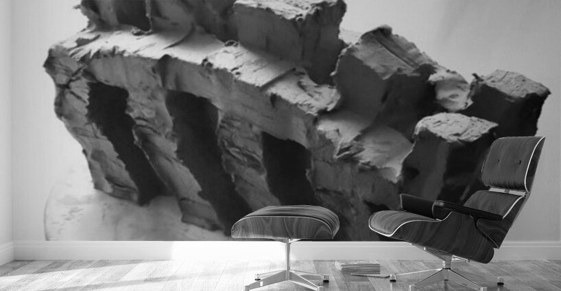 Selva Oscura --- 20251101 225127 2 Wall Murals