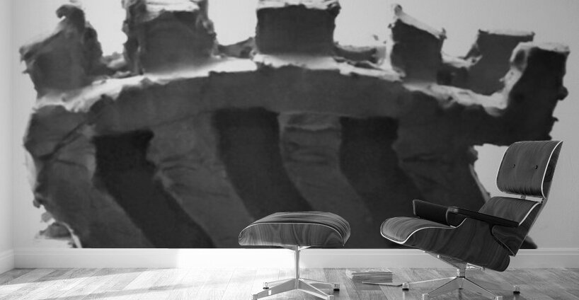 Selva Oscura --- 20251101 224921 2 Wall Murals