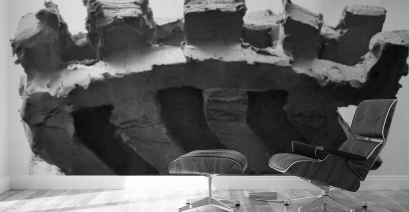 Selva Oscura --- 20251101 225118 2 Wall Murals