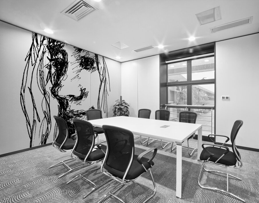 20240621 104710 3 Wall Printing