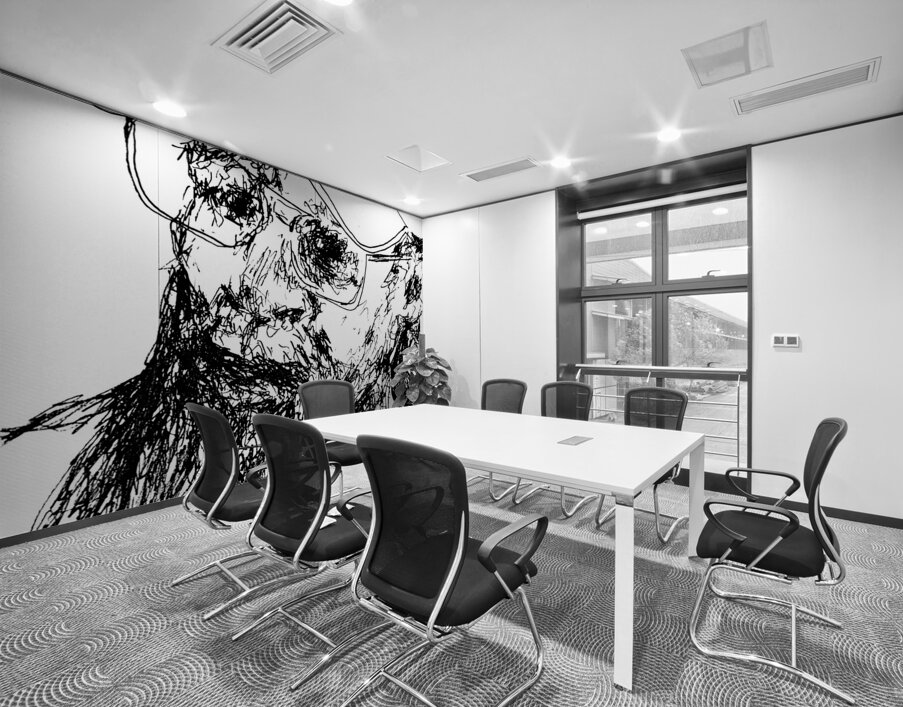 20240619 143042 2   Copy Wall Printing