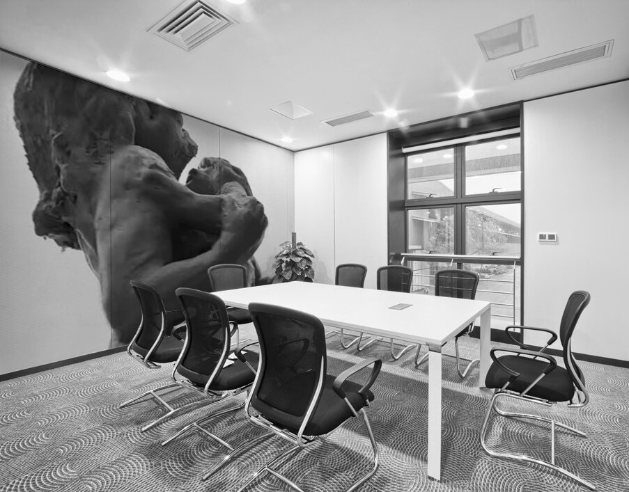 Alouette - 1 Wall Printing