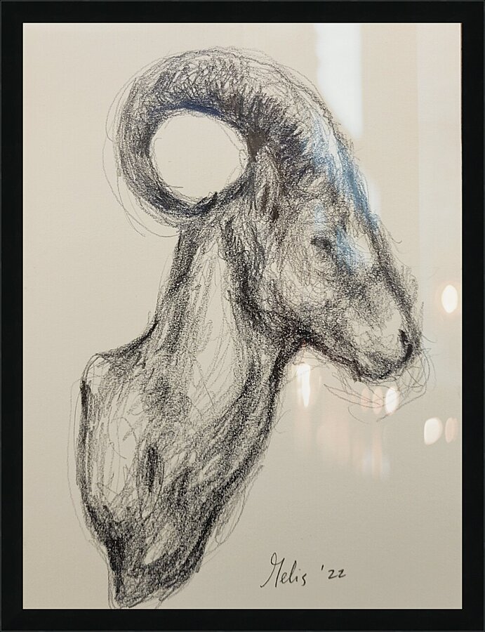 20220707 112037 Picture Frame print