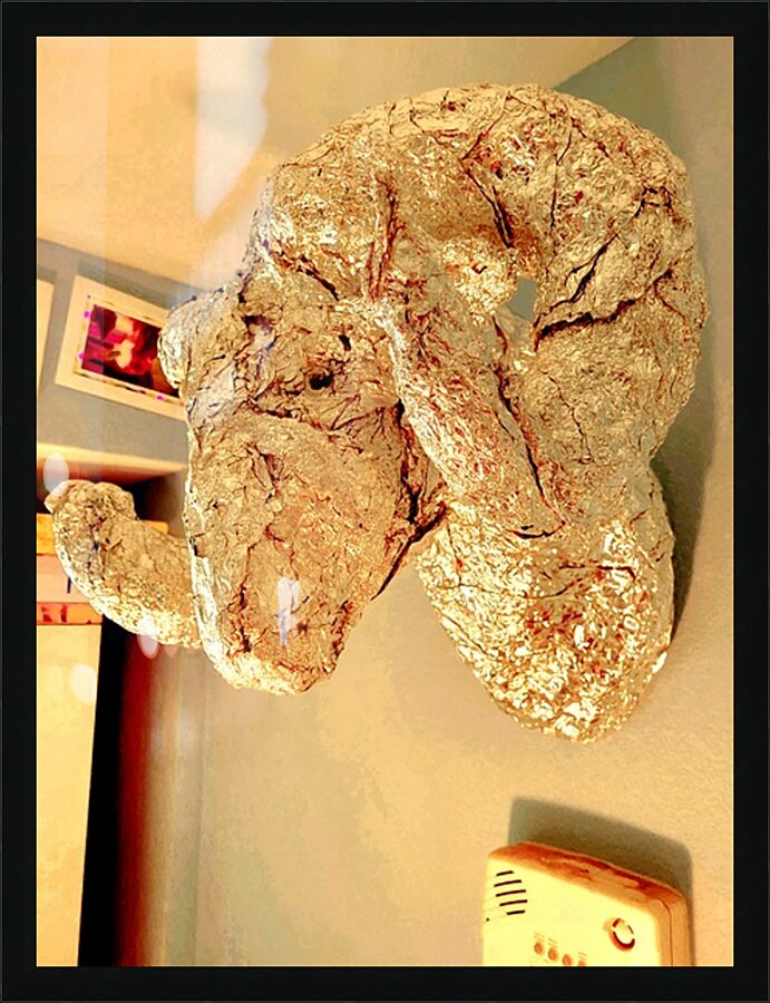 20220225 090824 Picture Frame print