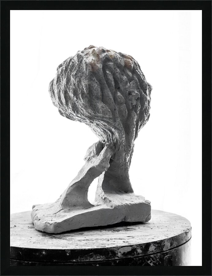 PSX 20250821 144939 Picture Frame print