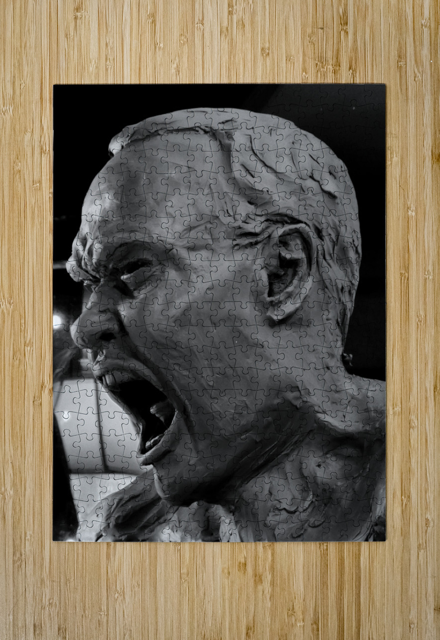 20F1FF 1 Marc Melis Puzzle printing