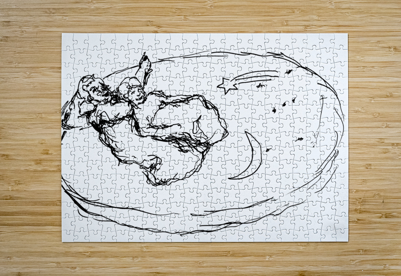 20656C 1 Marc Melis Puzzle printing