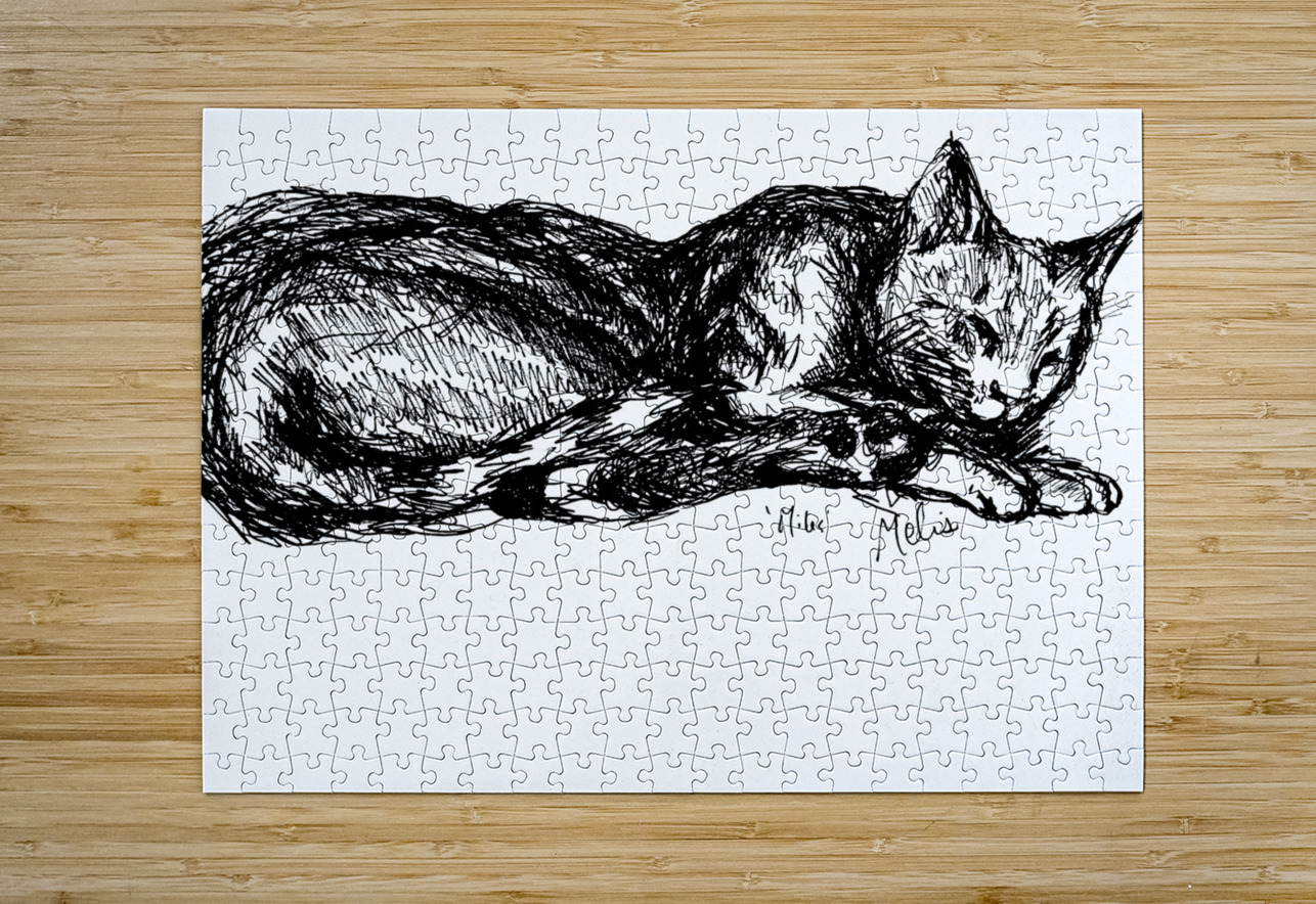 20240520 0157390 2 Marc Melis Puzzle printing