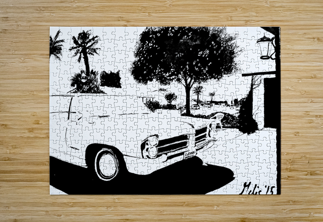 Hooptie - black and white -  PSX 20250302 042229 Marc Melis Puzzle printing