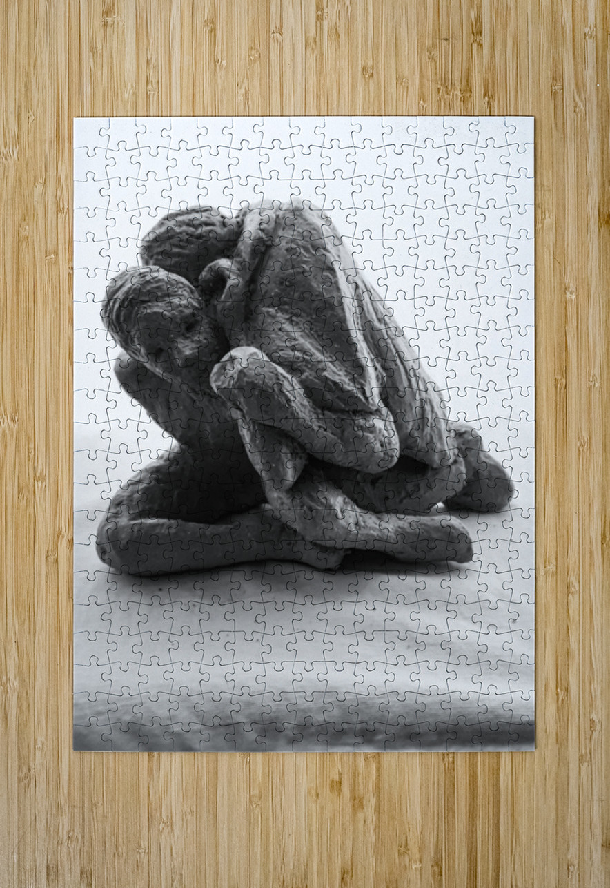 PSX 20241207 113142 Marc Melis Puzzle printing