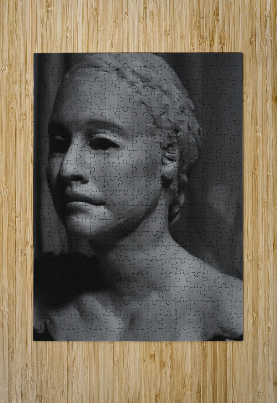 Screenshot 20220512 093315 Gallery 2 EDIT Marc Melis Puzzle printing