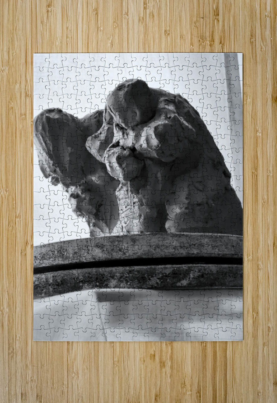 PSX 20250620 163203 Marc Melis Puzzle printing