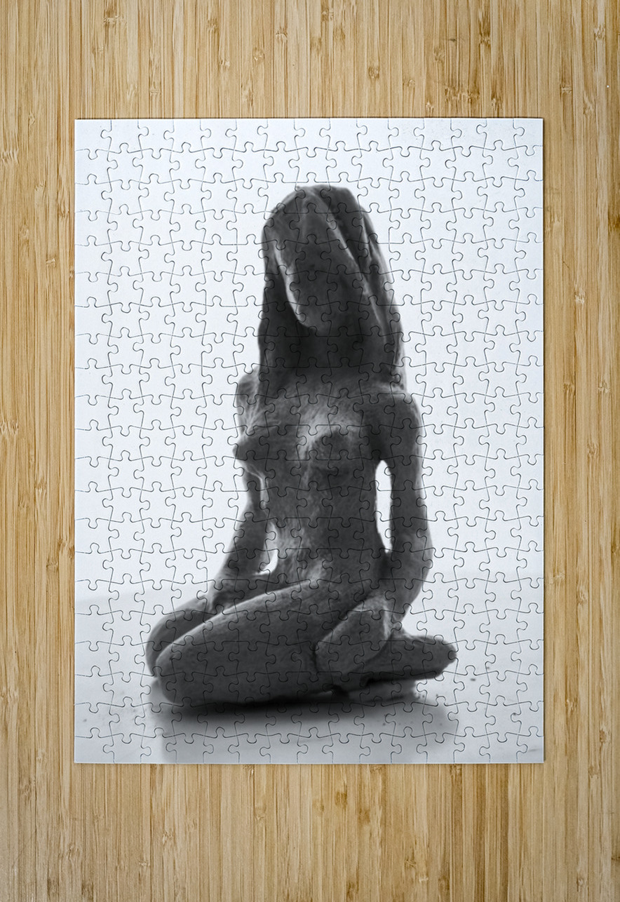 PSX 20250330 141753 Marc Melis Puzzle printing