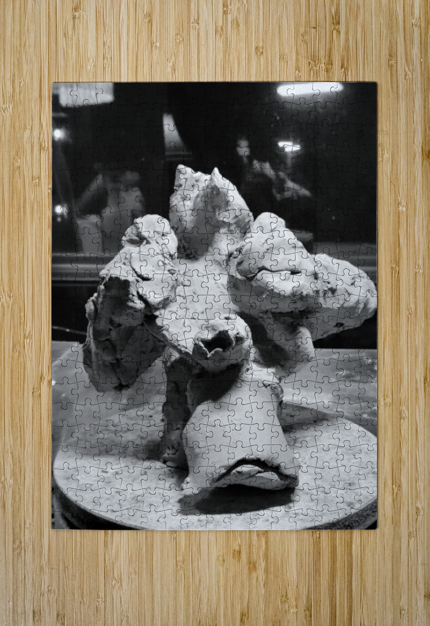 PSX 20250622 233401 Marc Melis Puzzle printing