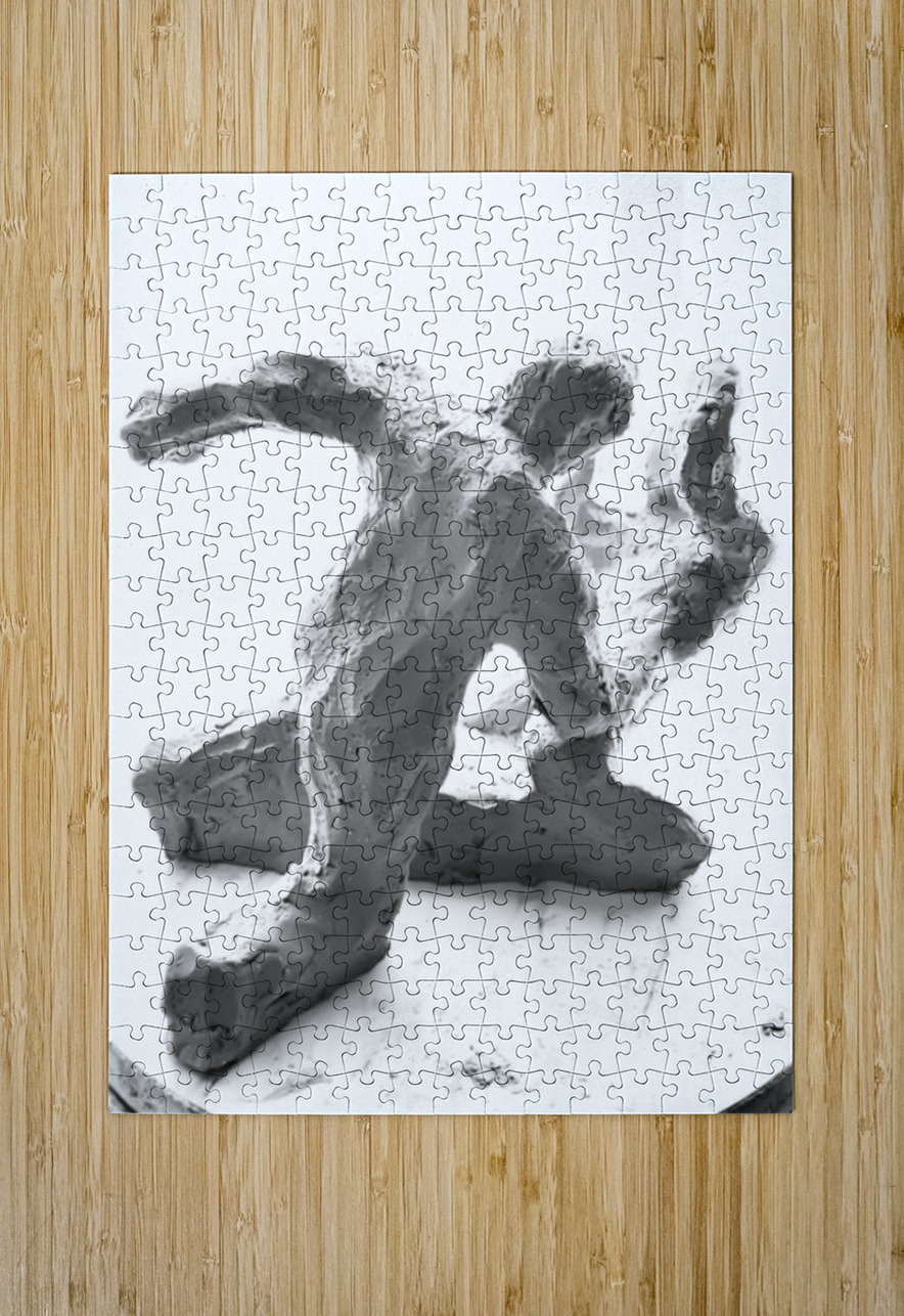 PSX 20250622 091714 Marc Melis Puzzle printing