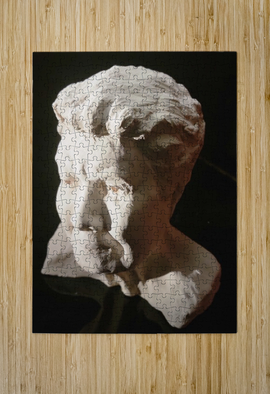 20220803 190543 Marc Melis Puzzle printing