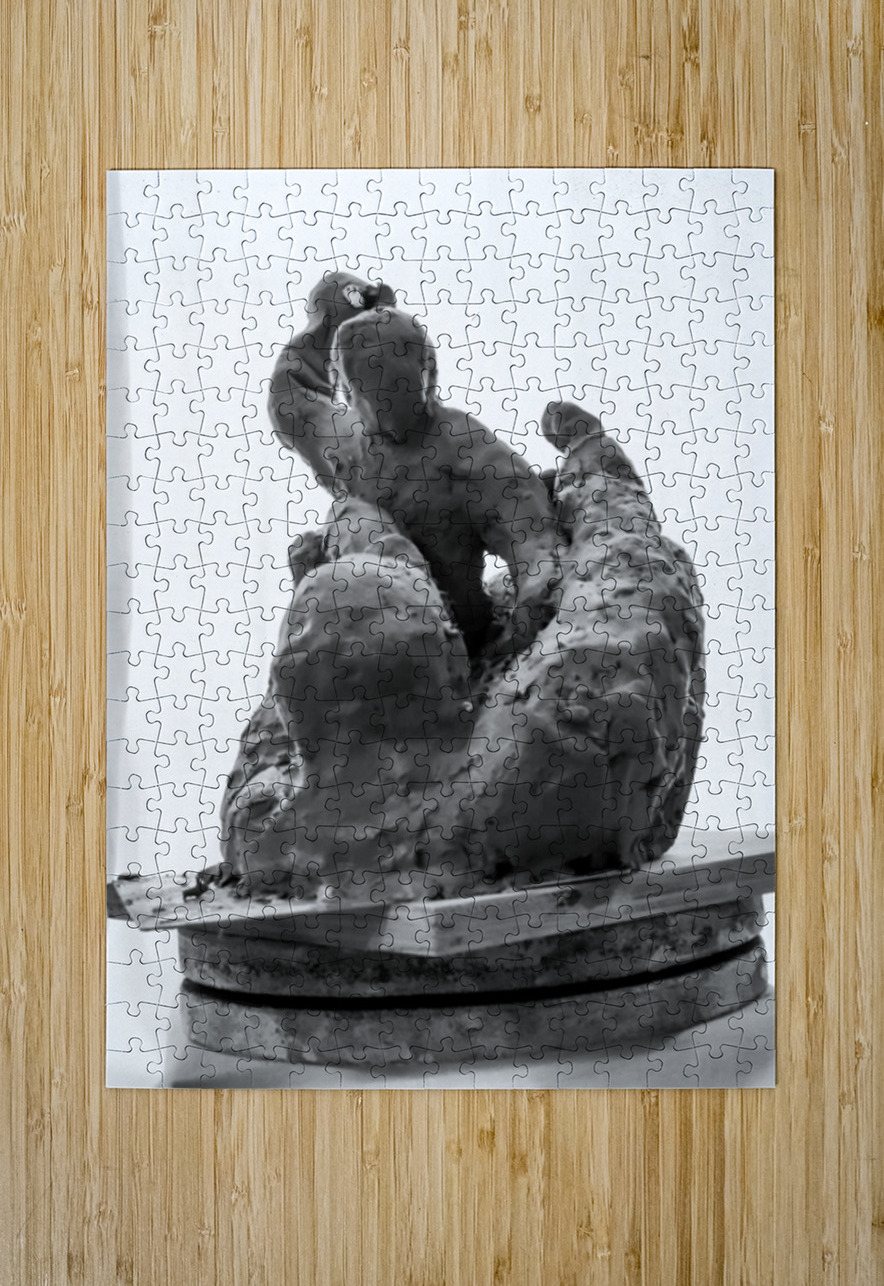 PSX 20250710 184043 Marc Melis Puzzle printing