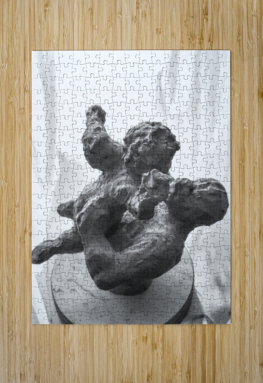 PSX 20250720 234710 Marc Melis Puzzle printing