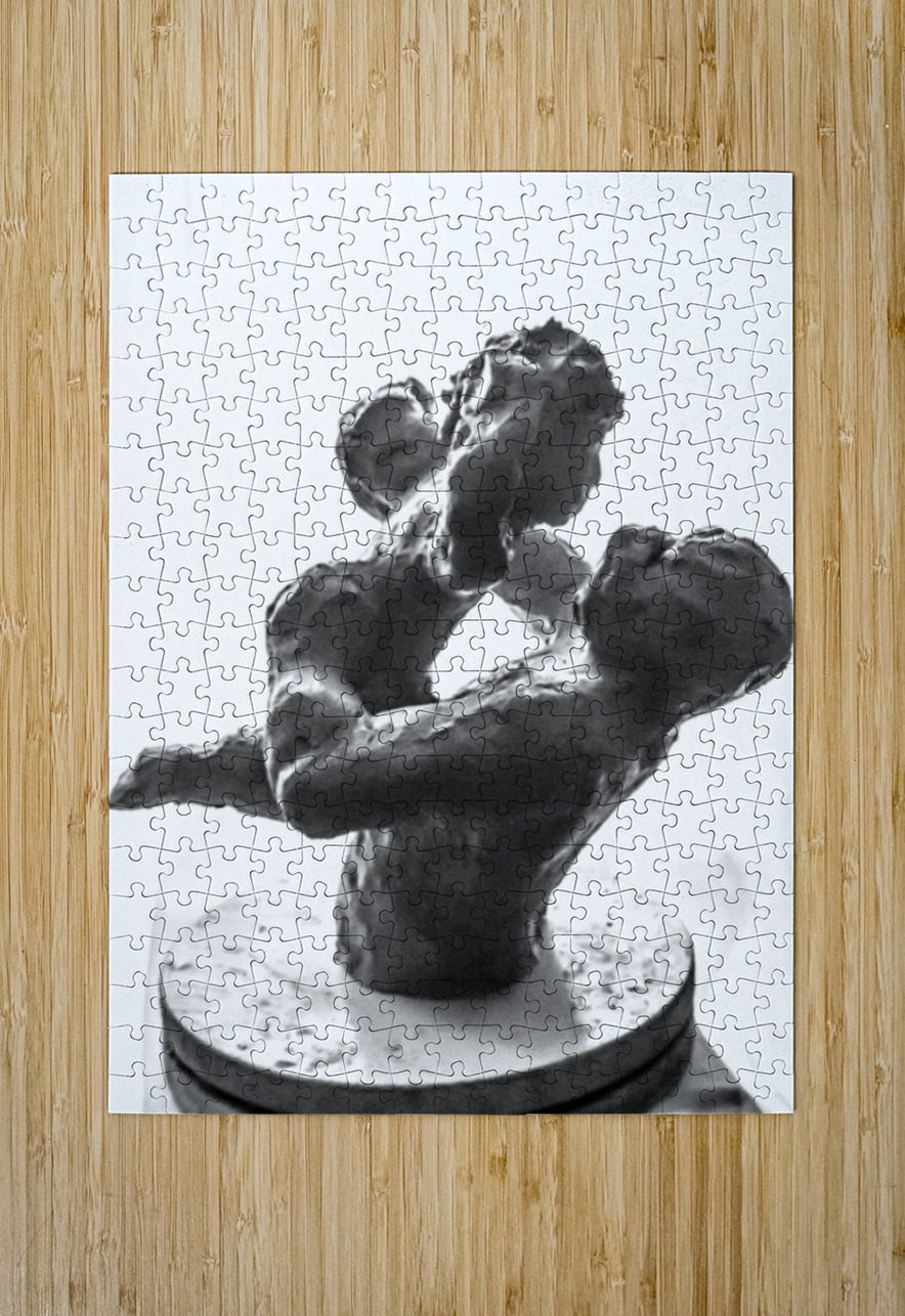 PSX 20250720 230654 Marc Melis Puzzle printing