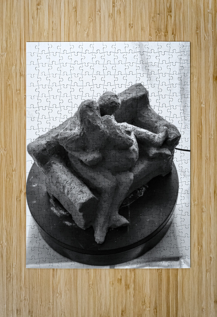 PSX 20250729 154826 Marc Melis Puzzle printing