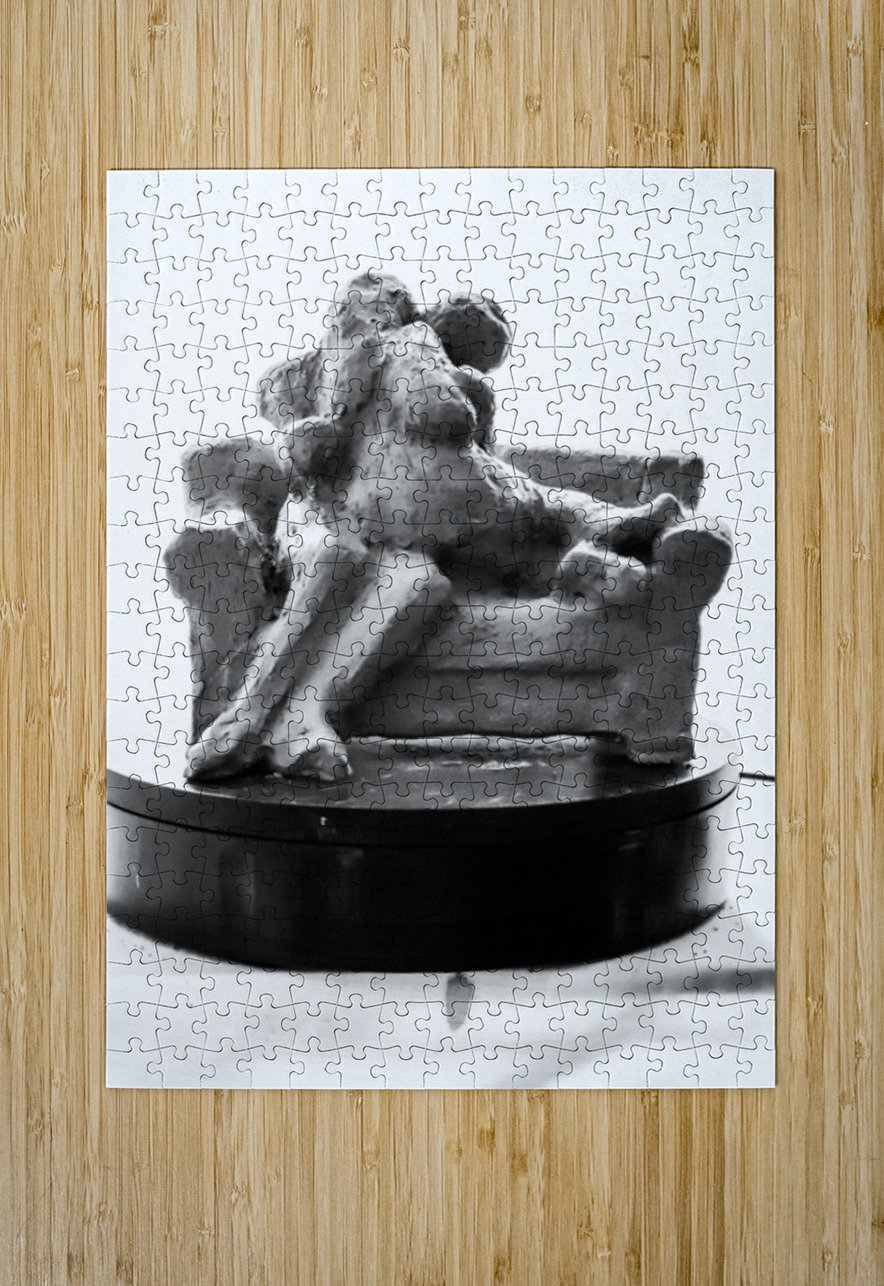 PSX 20250729 154117 Marc Melis Puzzle printing