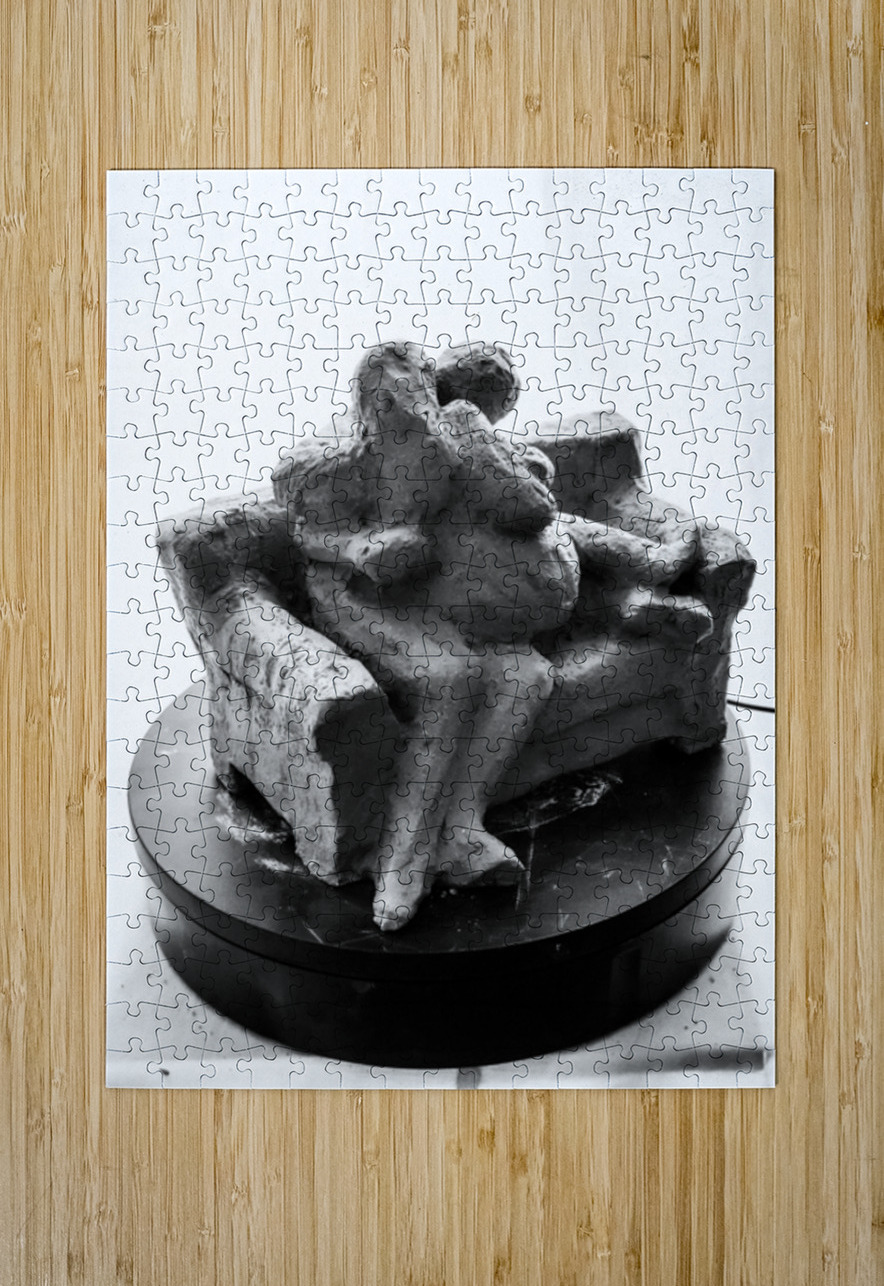 PSX 20250729 155901 Marc Melis Puzzle printing