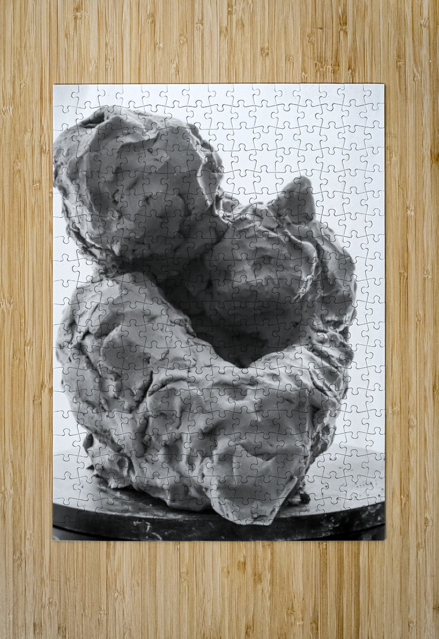 Beloved Companion 1 --- PSX 20250808 180623 Marc Melis Puzzle printing