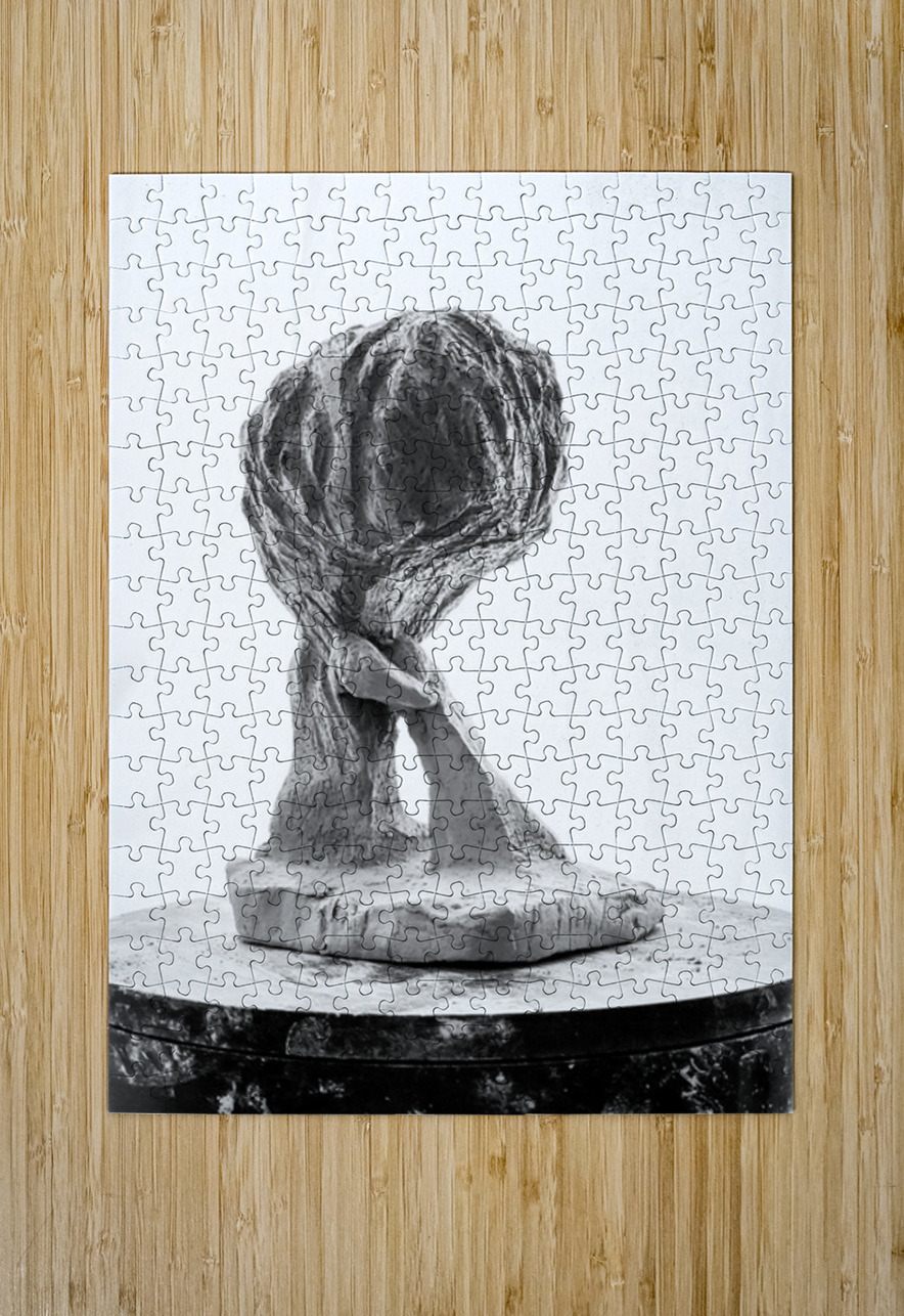 PSX 20250821 144301 Marc Melis Puzzle printing