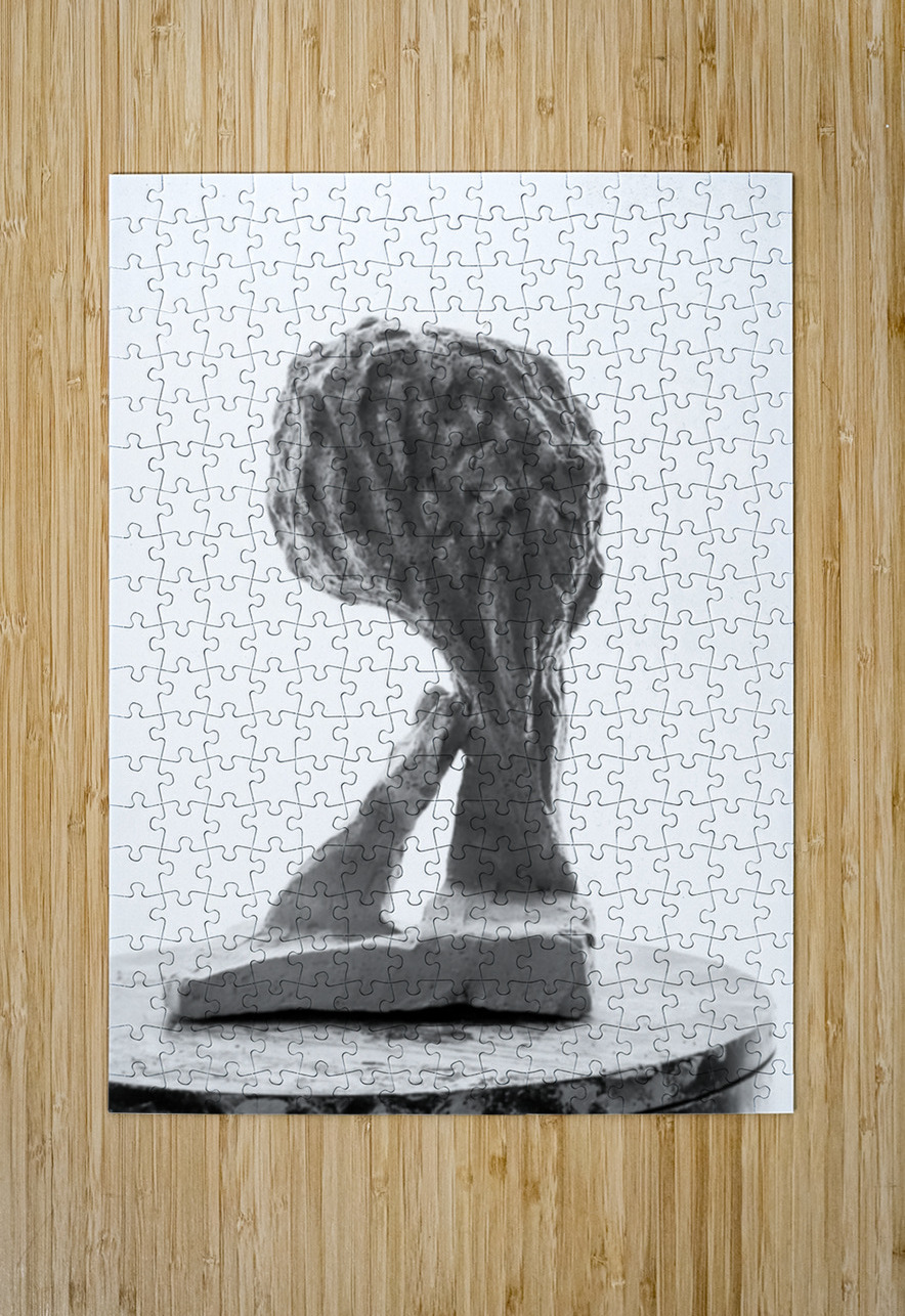 PSX 20250821 144840 Marc Melis Puzzle printing