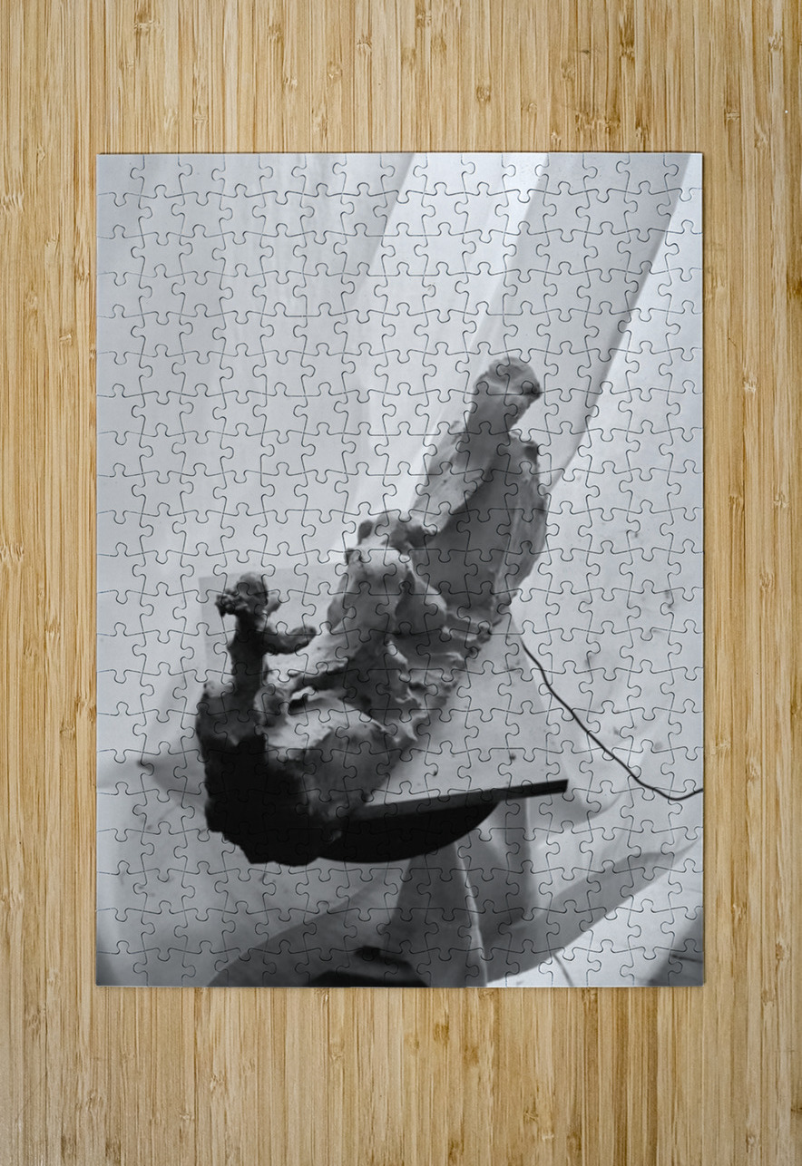 20250917 010926 2 Marc Melis Puzzle printing