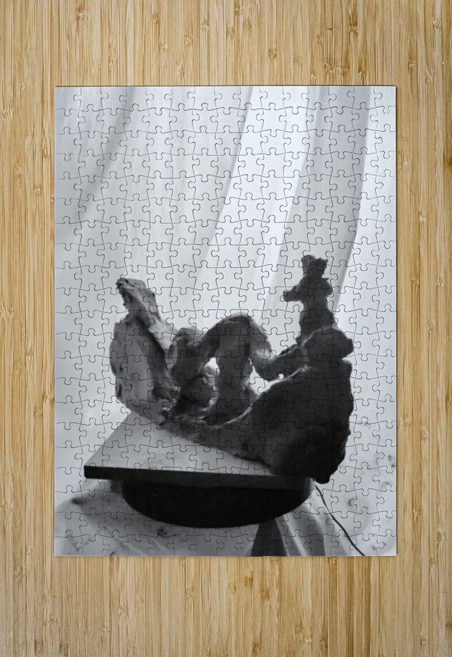 20250917 010606 2 Marc Melis Puzzle printing