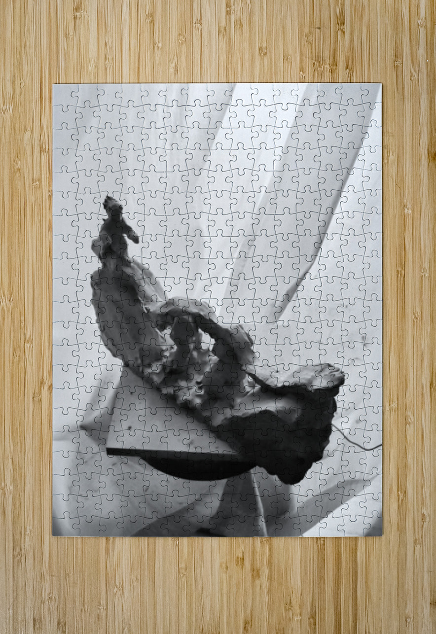 Dont Make Yourself Afraid ---  20250917 010954 2 Marc Melis Puzzle printing