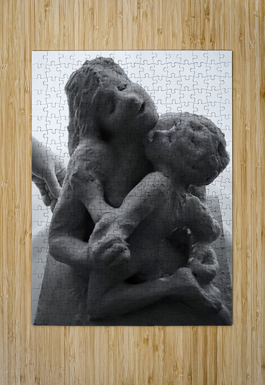 Alouette - 1 Marc Melis Puzzle printing