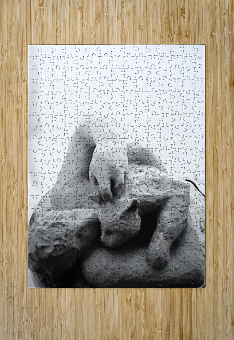 Beloved Companion 2 - 4 Marc Melis Puzzle printing