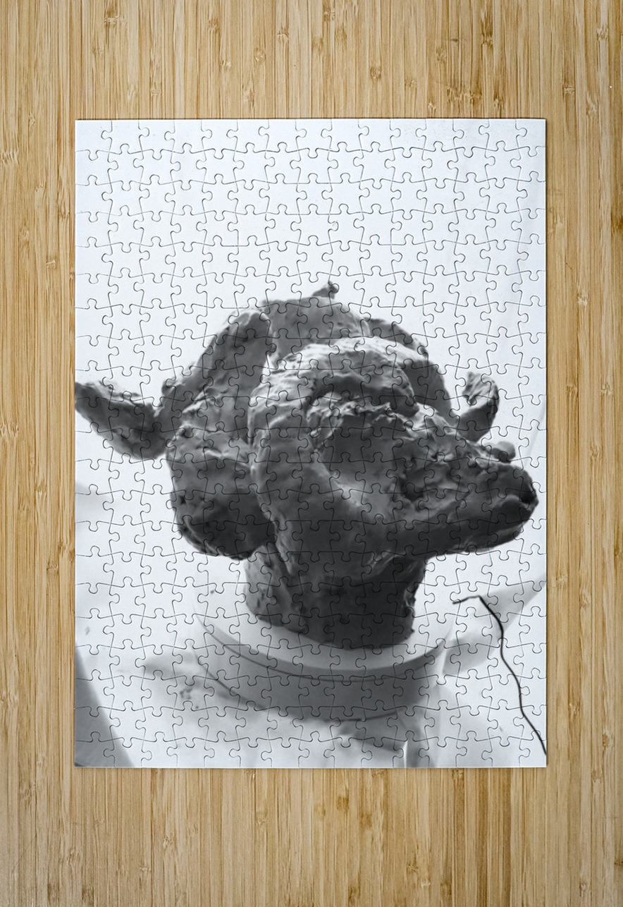 Day of Atonement --- 20251102 232839 Marc Melis Puzzle printing