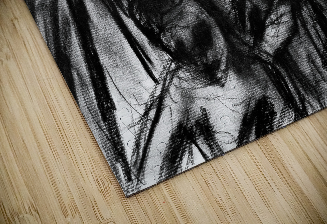 PSX 20240722 225004 Marc Melis Puzzle