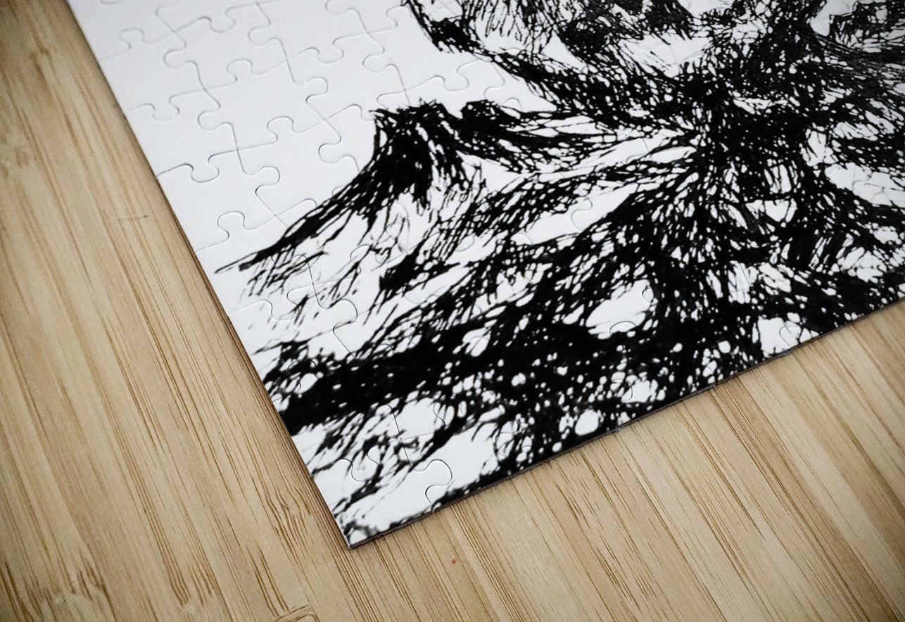 20230702 233518 3   Copy Marc Melis Puzzle