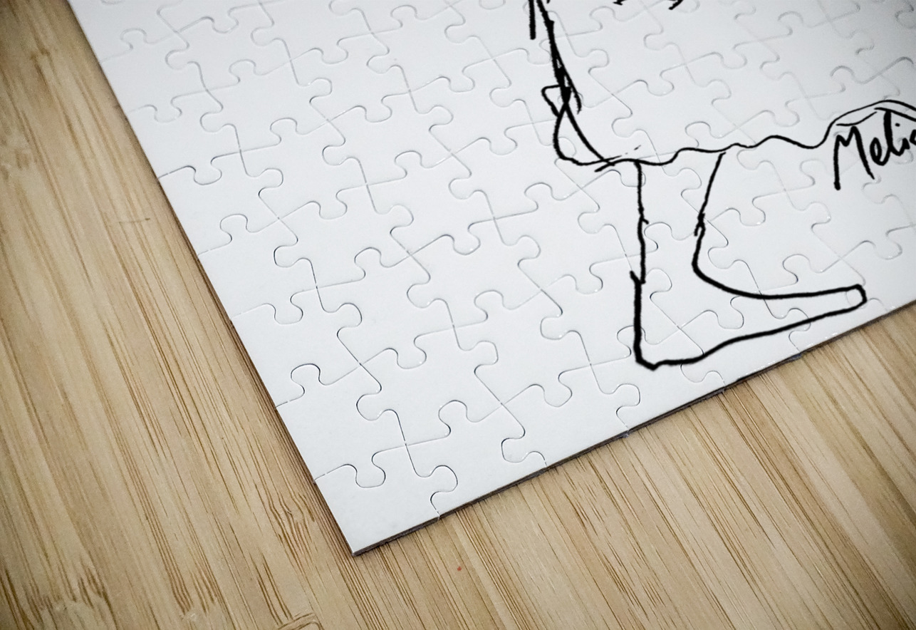 PSX 20240722 175522 Marc Melis Puzzle