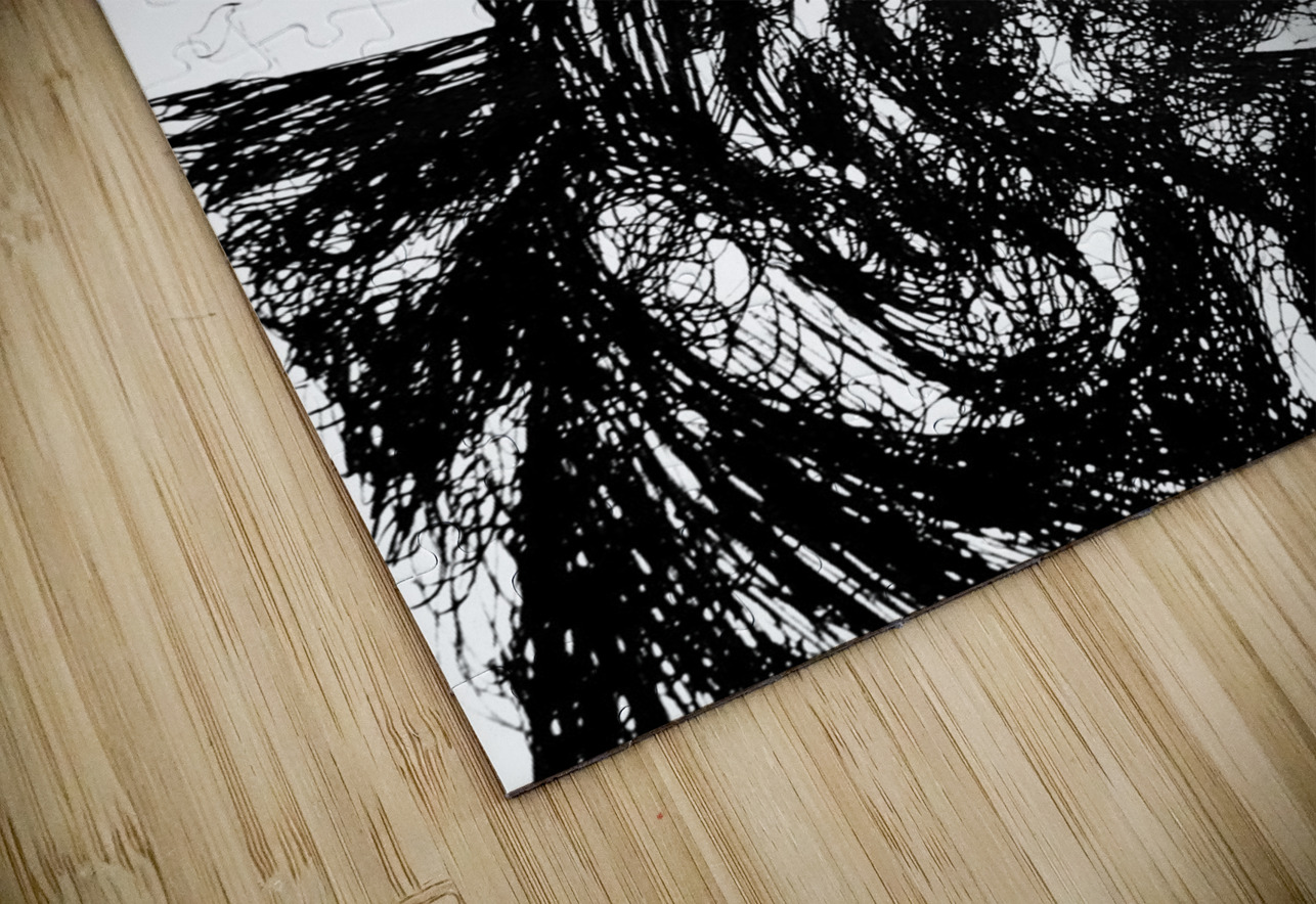 20230702 154922 3   Copy Marc Melis Puzzle