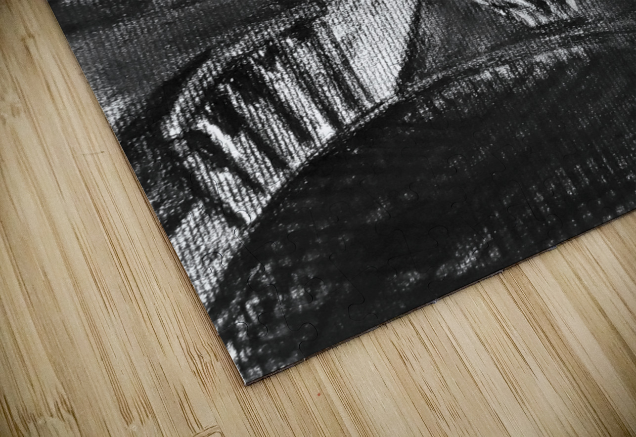 PSX 20240722 171758   Copy Marc Melis Puzzle