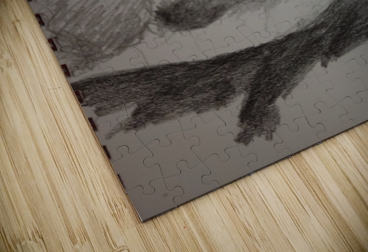 20230716 010714   Copy Marc Melis Puzzle