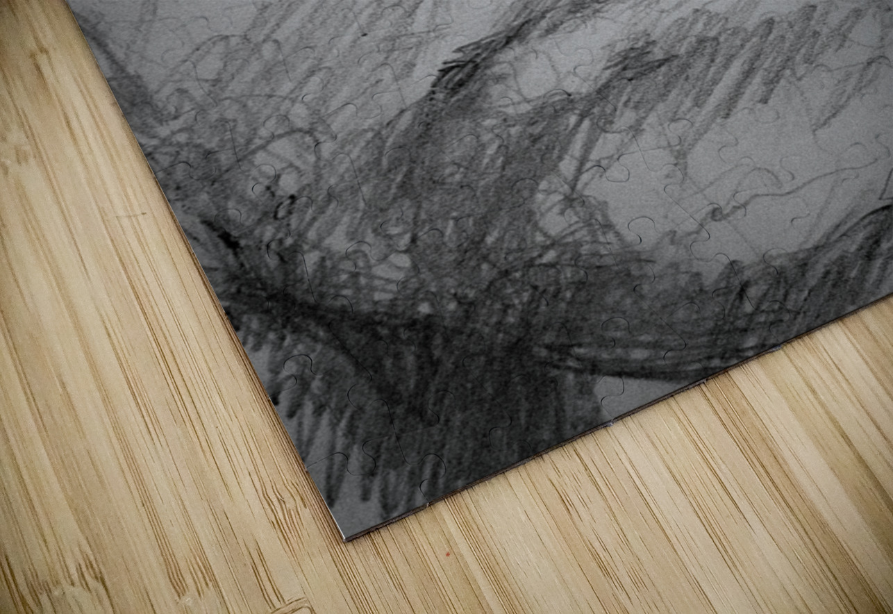 PSX 20240722 215310   Copy Marc Melis Puzzle