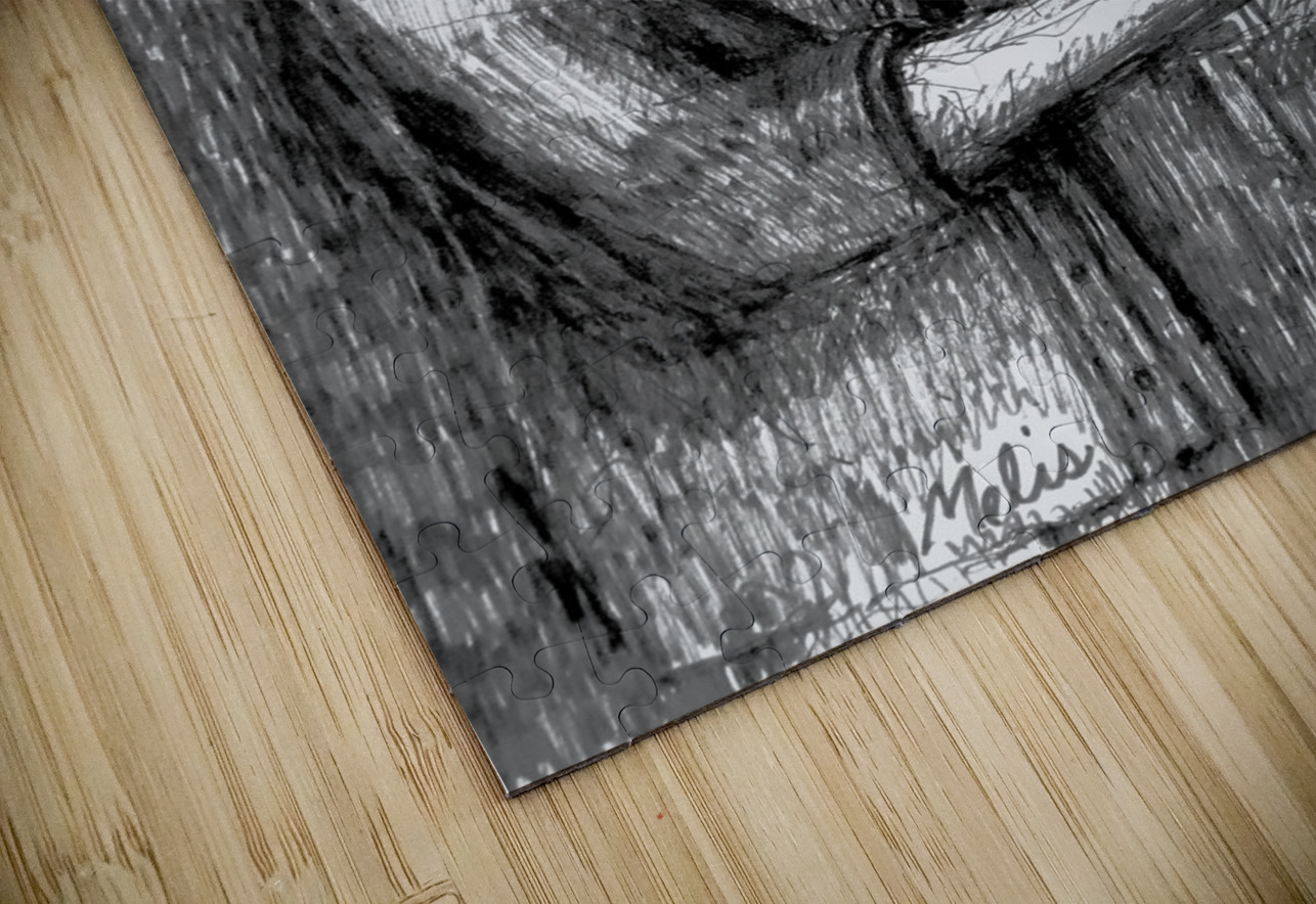 20240309 004217 25 Marc Melis Puzzle