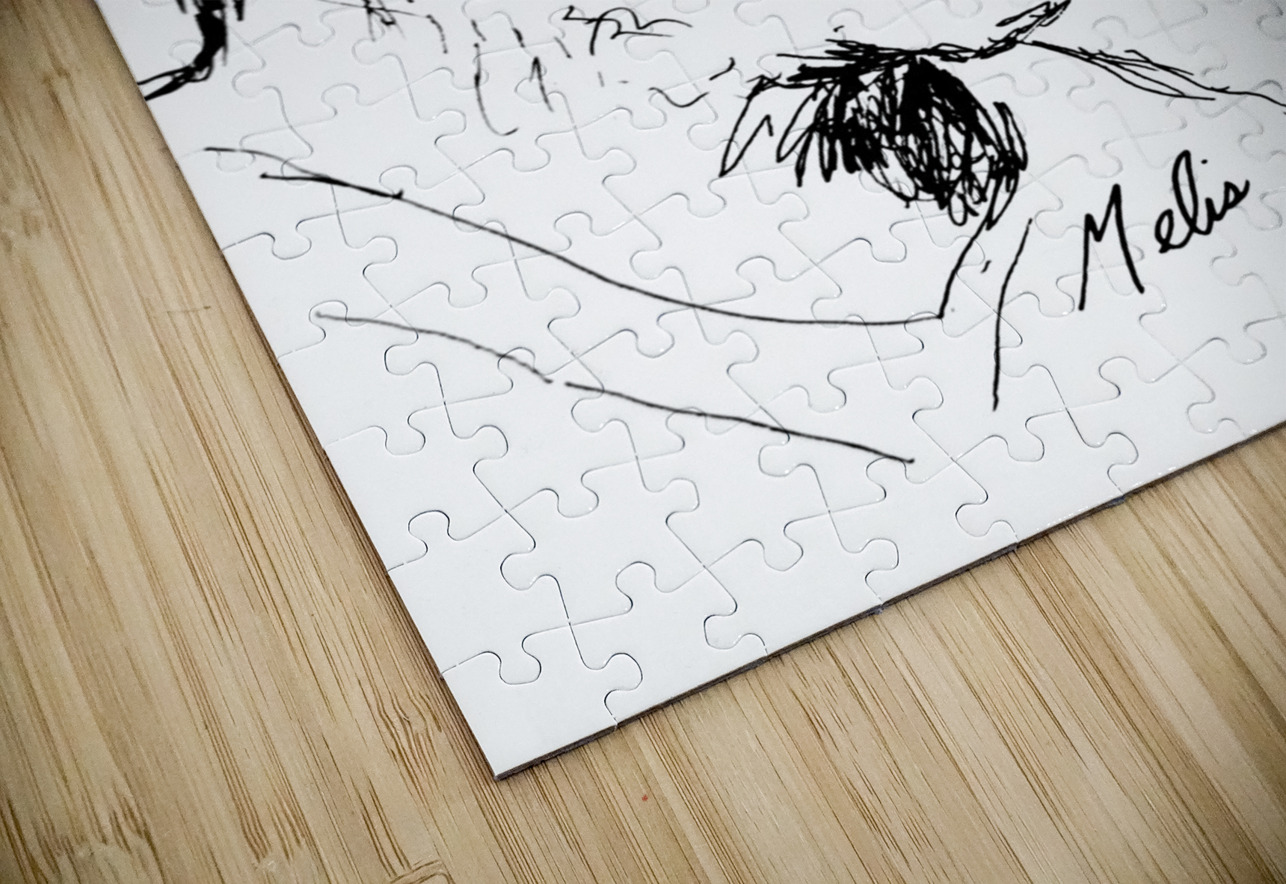 20240608 131559 3   Copy Marc Melis Puzzle