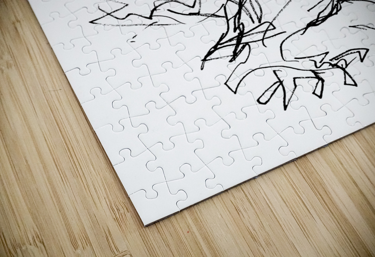 PSX 20241203 021336 Marc Melis Puzzle