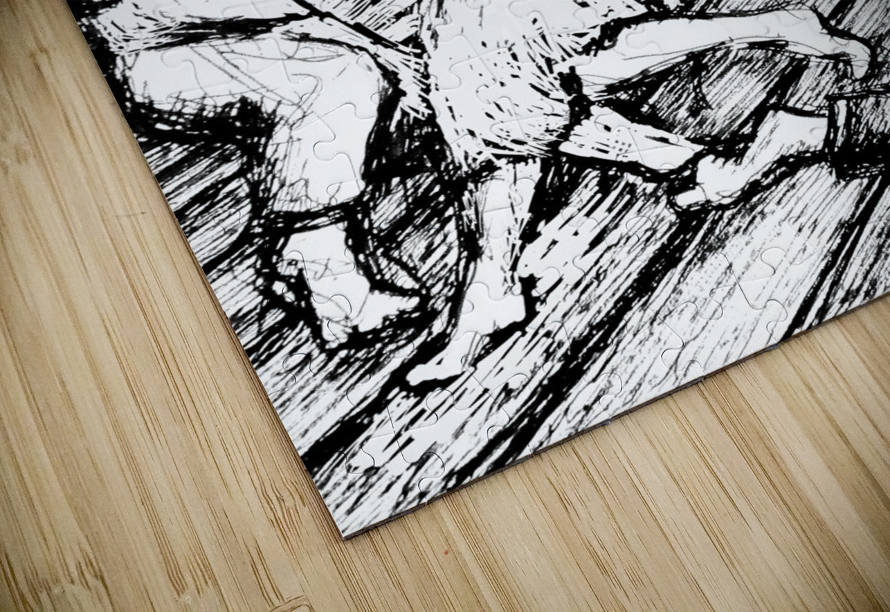 PSX 20241124 115026 3 Marc Melis Puzzle