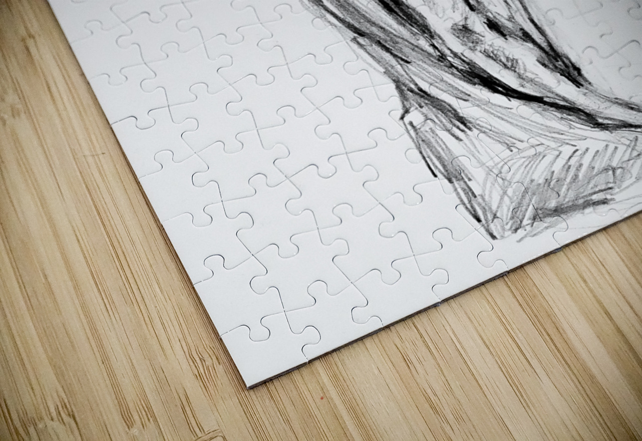 PSX 20241117 014050 Marc Melis Puzzle